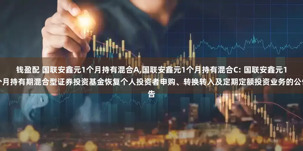 钱盈配 国联安鑫元1个月持有混合A,国联安鑫元1个月持有混合C: 国联安鑫元1个月持有期混合型证券投资基金恢复个人投资者申购、转换转入及定期定额投资业务的公告