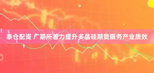 泰仓配资 广期所着力提升多晶硅期货服务产业质效