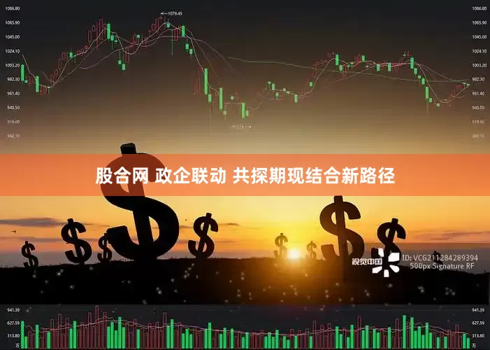 股合网 政企联动 共探期现结合新路径