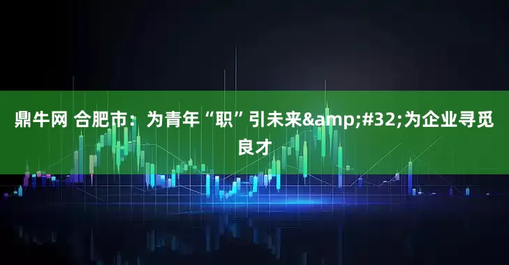 鼎牛网 合肥市：为青年“职”引未来&#32;为企业寻觅良才
