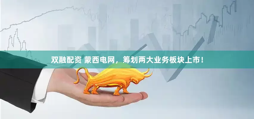 双融配资 蒙西电网，筹划两大业务板块上市！